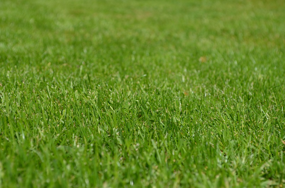 Un outil non négligeable pour un bon jardinier